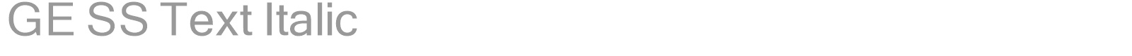 GE SS Text Italic font preview